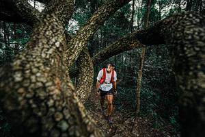 BIB: 
                            <button type="button" onclick="openModal(25393242)" class="btn btn-primary btn-sm float-right btn-popup" data-toggle="modal" data-target=".modal-high-quality">
                        <i class="fas fa-shopping-cart"></i> Add to Cart
                    </button>
                                            <button type="button" onclick="isThisMe(25393242, true)" class="btn btn-success btn-sm float-right btn-popup btn-isme hidden" data-toggle="tooltip" data-placement="bottom" title="นี่คือรูปของคุณใช่ไหม คลิกที่นี่เพื่อเอาเข้าอัลบั้ม">
                        <i class="fas fa-plus"></i> Add to album
                    </button>
                    <button type="button" onclick="isThisMe(25393242, false)" class="btn btn-warning btn-sm float-right btn-popup btn-isnotme hidden">
                        <i class="fas fa-ban"></i> Remove from album
                    </button>